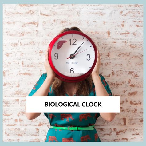 how-to-reset-biological-clock-in-humans