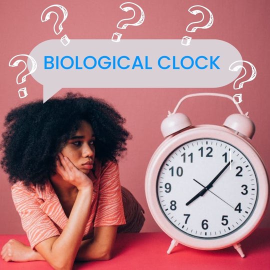 what-is-the-biological-clock